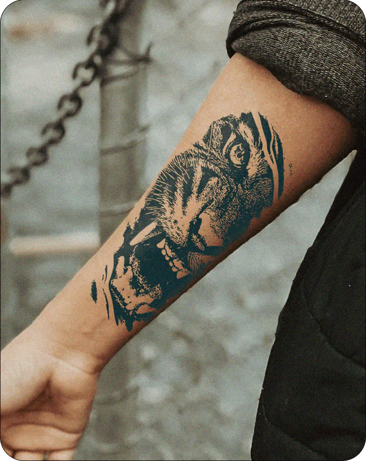 Angry Tiger tattoos